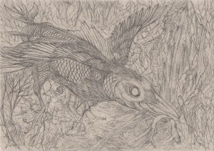 2018-06-07 Crowfish pencil fin 1024